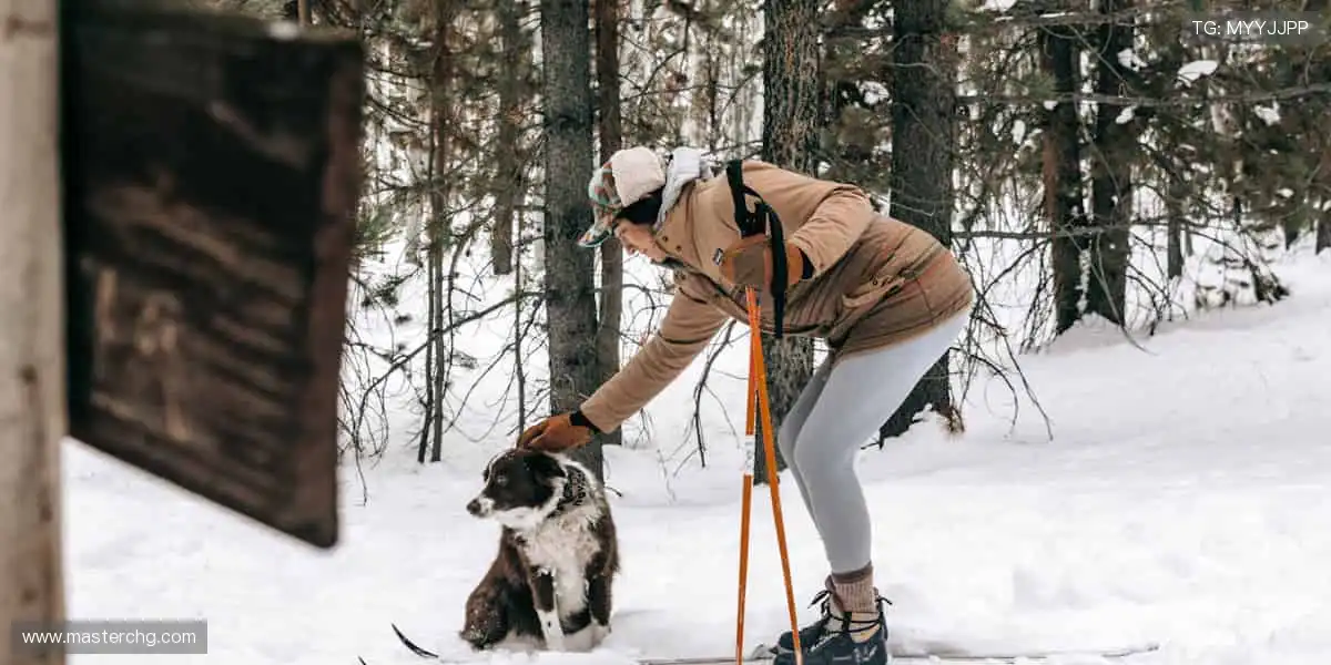 📺 实时解说,带你沉浸式感受赛场心跳!